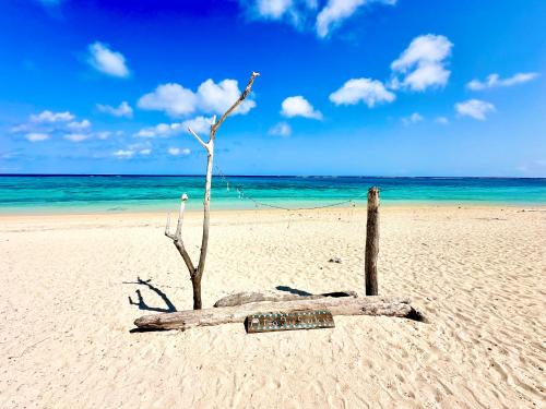 a beach with a tree branch and a sign on it at Happy Island Miyako in Miyako Island
