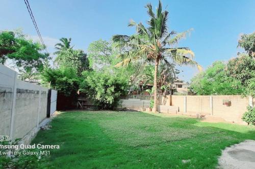 un patio con césped verde, valla y palmeras en Dream Villa Madiha Srilanka, en Matara