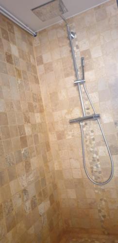 eine Dusche mit Handgriffen im Bad in der Unterkunft Magnifique appartement rénové avec terrasse in Guyancourt