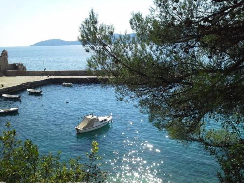 Fotografie z fotogalerie ubytování Villa Lemonia v destinaci Trsteno