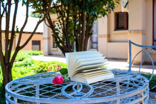 a stack of books on a blue table with a rose at Thaba Legae Guest Lodge in Rustenburg