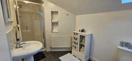 La salle de bains blanche est pourvue d'un lavabo et d'une douche. dans l'établissement Lisalway Country Lodge, à Castlerea