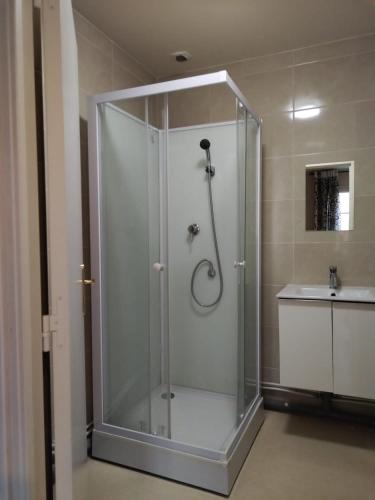 La salle de bains est pourvue d'une cabine de douche et d'un lavabo. dans l'établissement Studio meublé proche Métro JO24, à Noisy-le-Sec