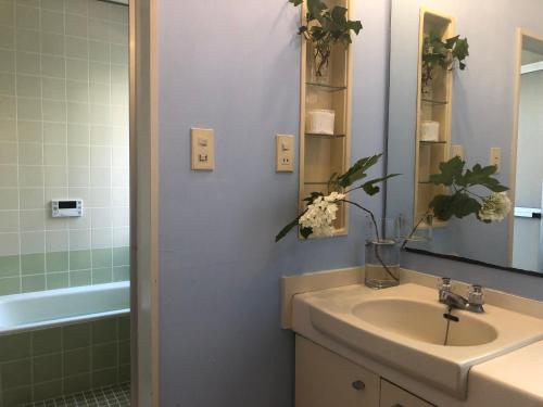 a bathroom with a sink and a mirror and a tub at Kashiwanoha Hotspring Garden Villa&Suite Room in Kashiwa