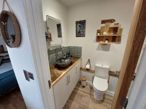 a bathroom with a toilet and a sink at Beachcroft Beach Snug in Seaton