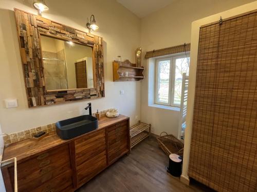 a bathroom with a sink and a mirror at SCI Domaine Saint Martin le grand in Béziers