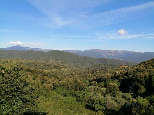 Vue sur une forêt avec des montagnes en arrière-plan dans l'établissement Maison de village calme et agréable, à Albitreccia