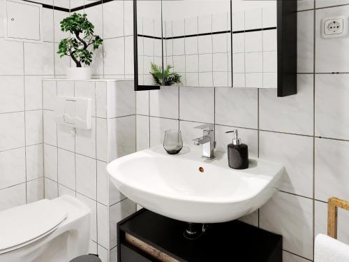 a white bathroom with a sink and a toilet at Ruhe und Komfort in Magdeburg in Magdeburg