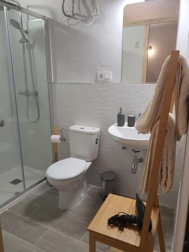 een badkamer met een toilet, een wastafel en een douche bij CASA MORENA MiA APARTAMENTOS in Granada