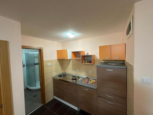 uma cozinha com armários de madeira e um lavatório num quarto em Apartmani Ušće em Trstenik
