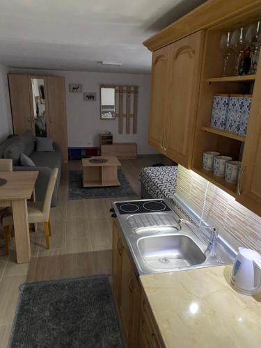 a kitchen with a sink and a living room at Zaovinski kutak in Bajina Bašta