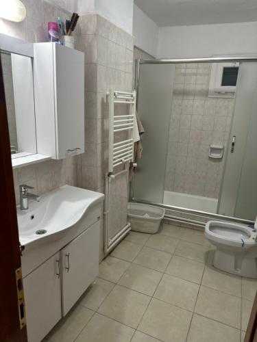 uma casa de banho com um lavatório, um WC e um chuveiro em A private room in the heart of Istanbul Sisli em Istambul