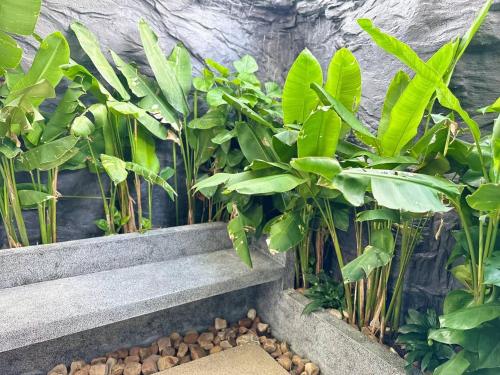 Taman di luar Raing Phnom Bungalow