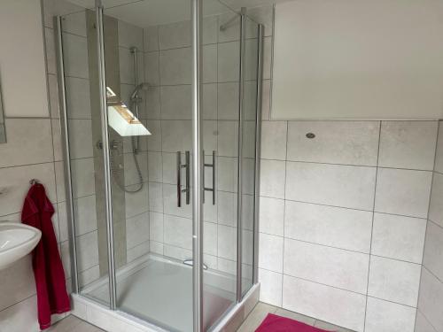 La salle de bains est pourvue d'une douche avec une porte en verre. dans l'établissement Goldene Krone, à Belgershain