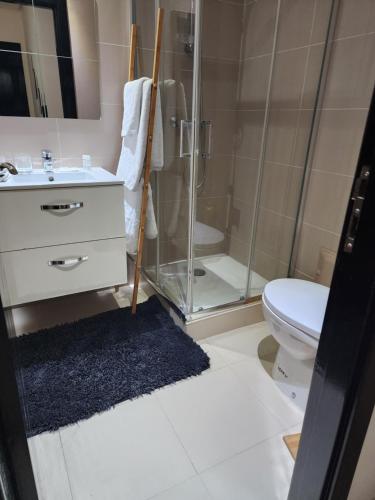 a bathroom with a shower and a toilet and a sink at Chez Dju in Nouaceur