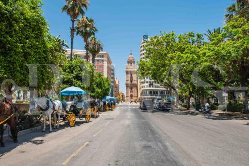 El barrio en el que está el departamento o un barrio cercano