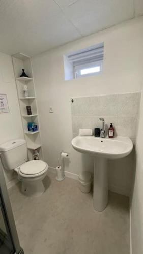 une salle de bain blanche avec des toilettes et un lavabo dans l'établissement Chambre chez l'habitant à Vauxbuin, à Vauxbuin