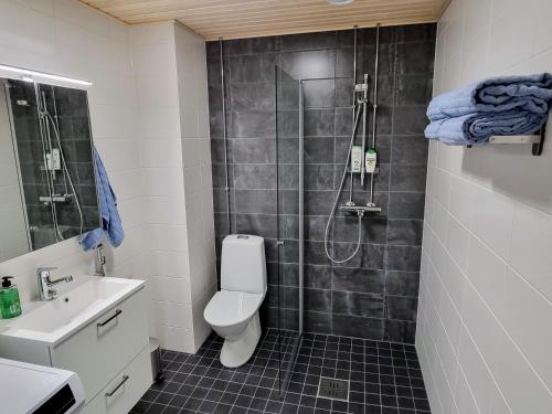 a bathroom with a shower and a toilet and a sink at Upea huoneisto Rauman keskustassa in Rauma