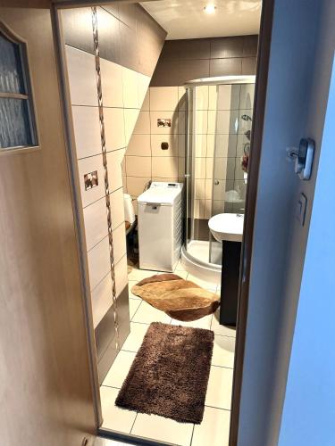 a bathroom with a shower and a toilet and a sink at Domek u podnóża Skrzycznego in Lipowa