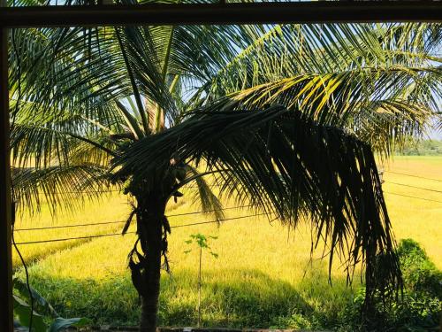 a palm tree in front of a field of grass at Rivonway Hotel Polonnaruwa in Polonnaruwa