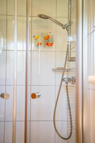 a bathroom with a shower with a glass door at Singerskogel - Ferienhof und Jausnstub`n in Spital am Pyhrn