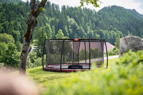a golf cart sitting in the grass next to a tree at Singerskogel - Ferienhof und Jausnstub`n in Spital am Pyhrn