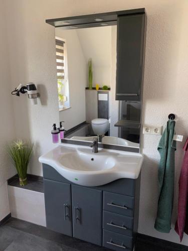 a bathroom with a sink and a large mirror at Ferienhaus Pusteblume in Lübben