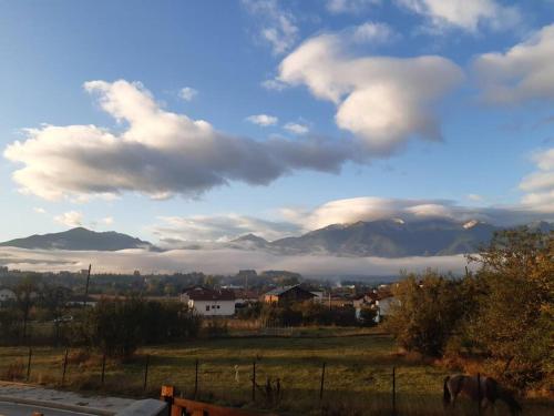 a horse in a field with mountains in the background at Villa Detelina near the Bansko Ski Resort with Jacuzzi in Razlog