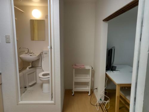 a bathroom with a toilet and a sink and a mirror at アサカヤマ　ゲストハウス in Sakai