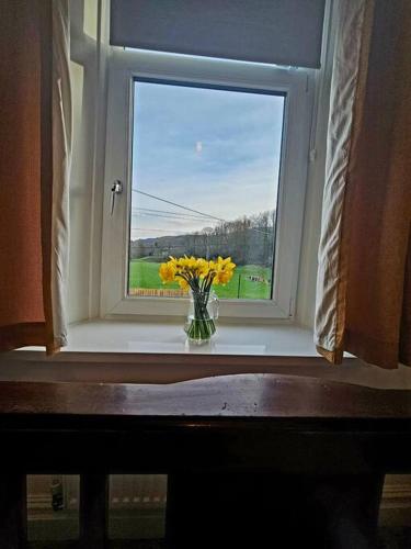 Fotografie z fotogalerie ubytování Sleeps 6. Free Wifi. Free Parking central location. v destinaci Aberdare