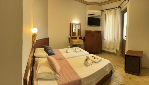 ダルヤンにあるHan Dalyan Hotelのベッド2台とテレビが備わるホテルルームです。