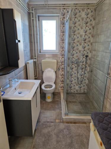 a bathroom with a toilet and a shower and a sink at Barbara in Gospić