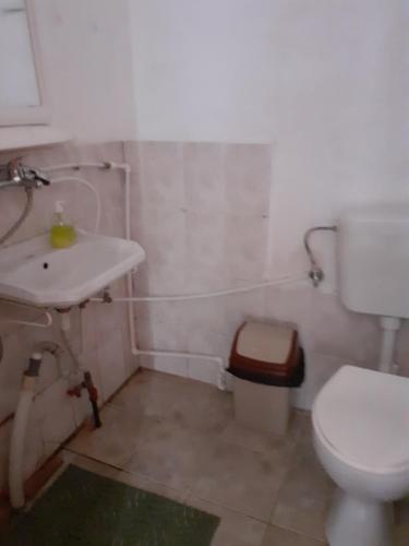 a bathroom with a white toilet and a sink at Cabana Valea Stanciului in Răchiţele