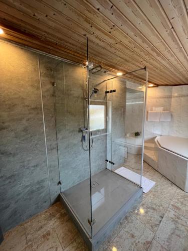 La salle de bains est pourvue d'une douche avec une porte en verre. dans l'établissement Pension Unterreichenbach, à Schwabach
