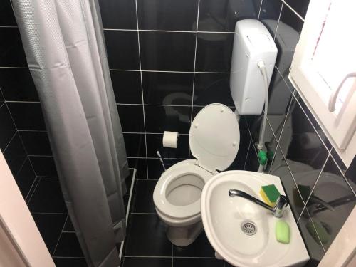 Private accommodation Kalezić في مويكوفاتش: حمام صغير مع مرحاض ومغسلة