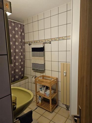 niewielka łazienka z zieloną umywalką i toaletą w obiekcie Sonnenzauber w mieście Andermatt