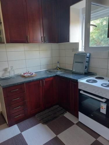 Kuchyň nebo kuchyňský kout v ubytování Apartmani “Dunja”