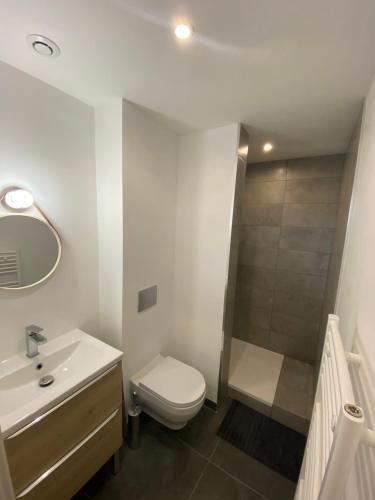 une salle de bain avec toilettes, lavabo et douche dans l'établissement Studio neuf avec jardin privatif, à Bouguenais