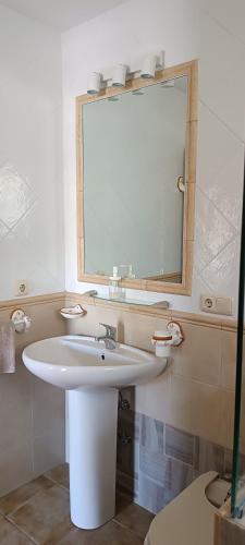 a bathroom with a white sink and a mirror at Apto Blanes - WIFI GRATIS in San José