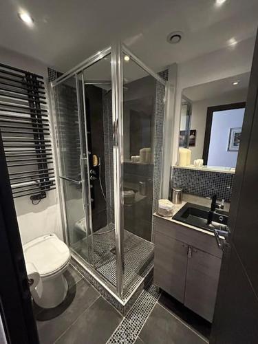 une salle de bain avec une douche, des toilettes et un lavabo dans l'établissement Cannes Vieux Port splendide vue, à Cannes