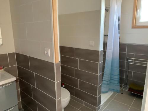 a bathroom with a toilet and a shower at T2 au calme montagne et lac in La Bâtie-Vieille