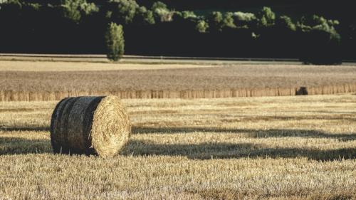 Φωτογραφία από το άλμπουμ του Gîte de charme à la ferme - Duplex σε Landrévarzec