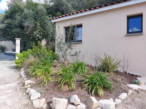 un jardin avec des plantes devant une maison dans l'établissement La Belle de Cassis, à Cassis