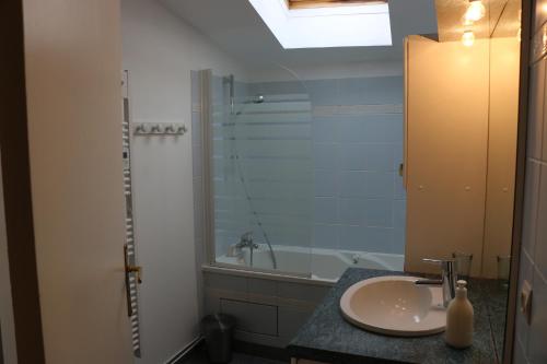 La salle de bains est pourvue d'un lavabo et d'une douche. dans l'établissement Les Chenevières, à Culey