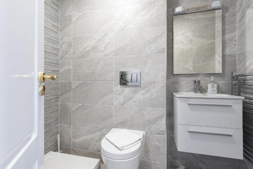 a bathroom with a toilet and a sink and a mirror at Ferncourt in Leopardstown