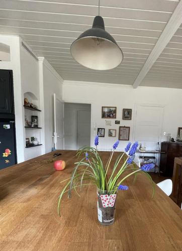une plante en pot assise sur une table en bois dans l'établissement Gîte Maison Fougères gauche Saint-Prejet, à Saint-Préjet-dʼAllier