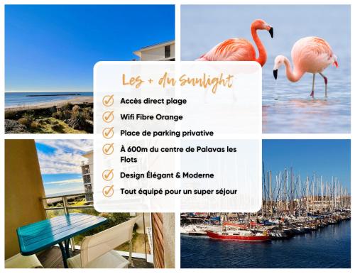 een flyer met een roze flamingo en een jachthaven bij Le Sunlight - T2 bord de mer, Parking in Palavas-les-Flots