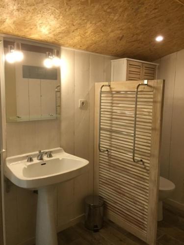 une salle de bain avec un lavabo et un miroir dans l'établissement ESCALE AU FOND DU JARDIN, à Agen