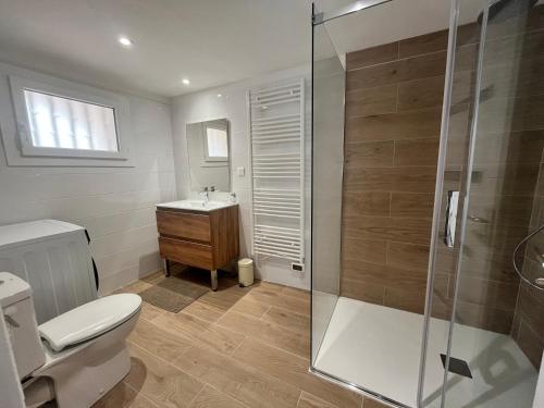 uma casa de banho com um chuveiro, um WC e um lavatório. em T2 tout confort avec jardin em Balaruc-les-Bains