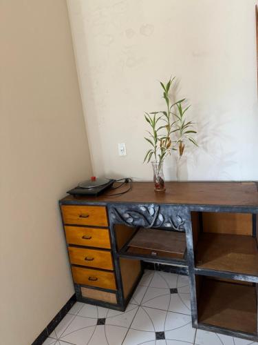 un bureau avec une plante assise au-dessus dans l'établissement Departamento ganesha, à Encarnación